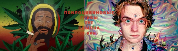PSILOCYBIN Кулебаки