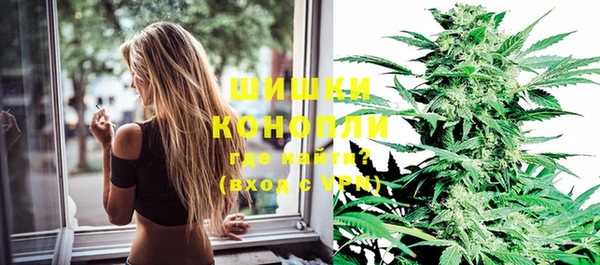 PSILOCYBIN Кулебаки