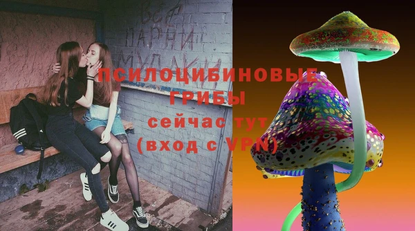 PSILOCYBIN Кулебаки