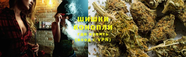 PSILOCYBIN Кулебаки