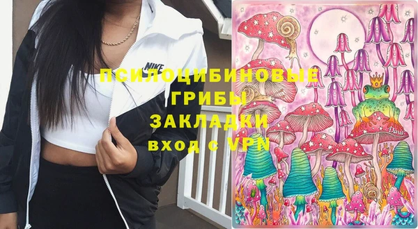 PSILOCYBIN Кулебаки